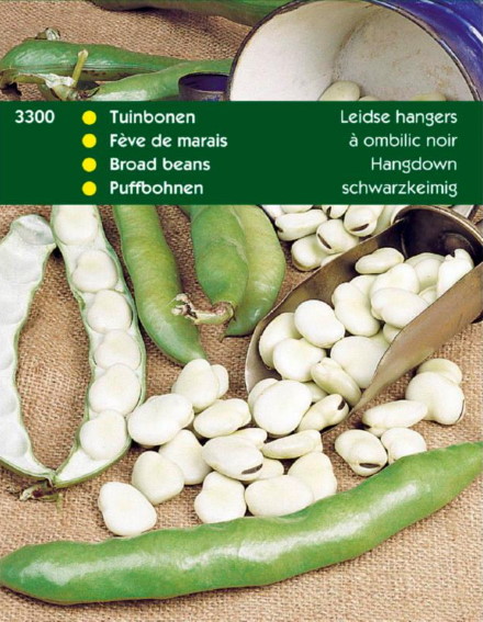 Tuinboon Leidse Hangers (Vicia faba) 100 zaden